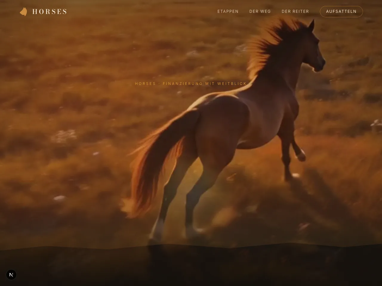 HORSES · Finanzierung mit Weitblick